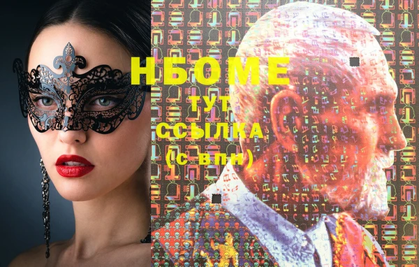 спайс Няндома