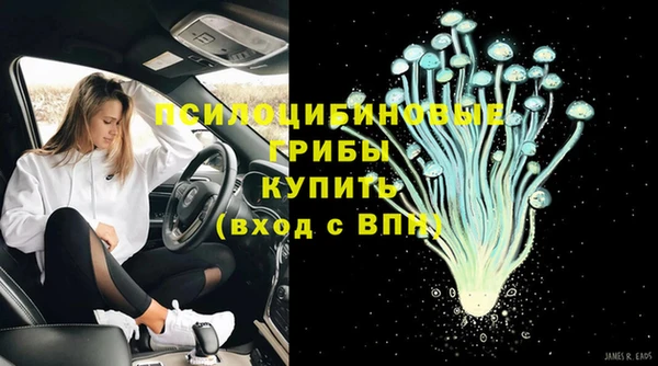 гидропоника Алексеевка
