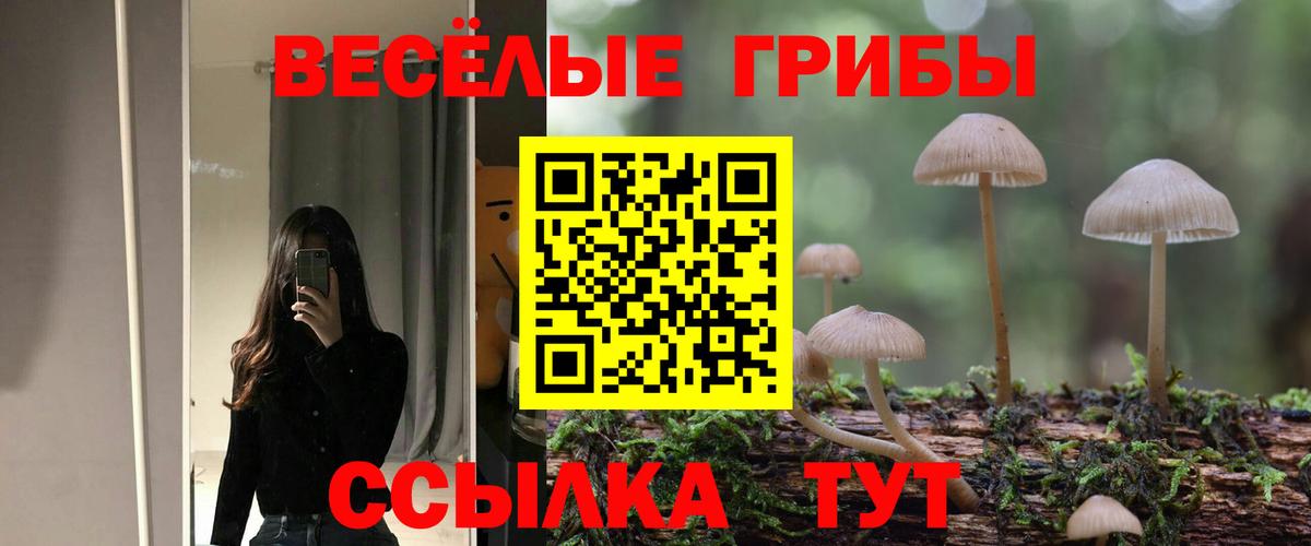 даркнет сайт  Псилоцибиновые грибы GOLDEN TEACHER  Вход с VPN  Псилоцибиновые грибы ЛСД  Алексин 